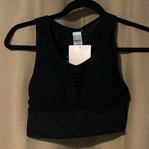 Kittenish Sports Bra